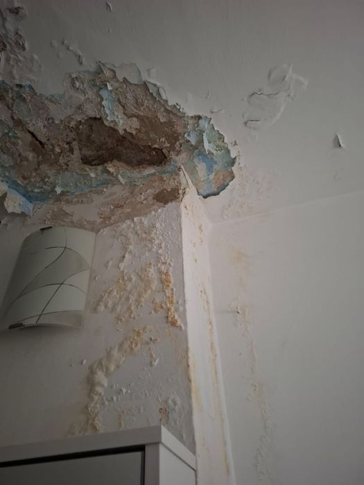 Repar case și remediez probleme – lucrări de calitate