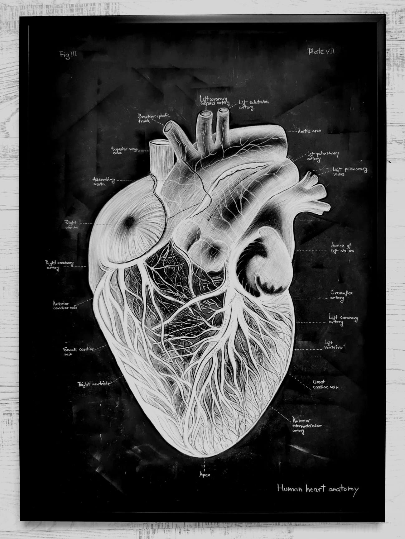Tablou Anatomia Inimii