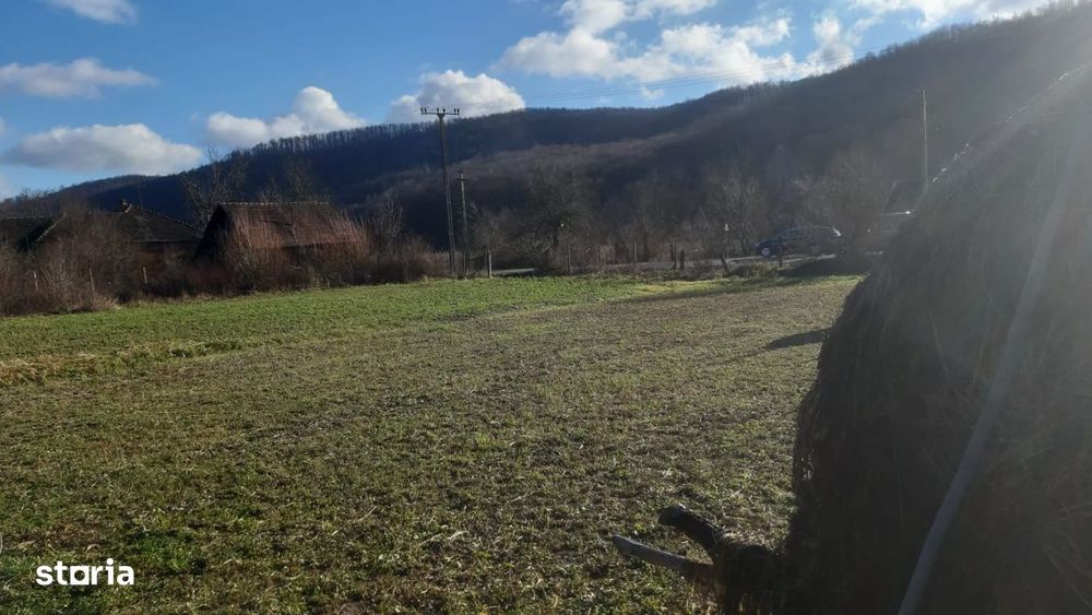 Vand teren Intravilan Loc. Capruta Com. Barzava, Jud Arad, 1674m2 ComO