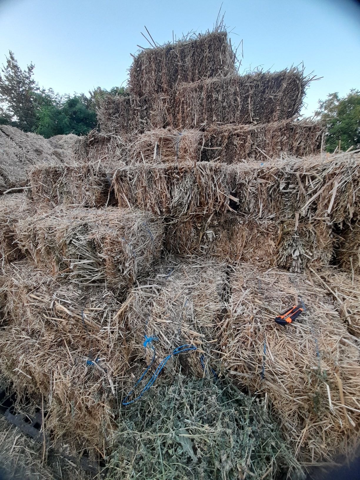 Baloti lucernă de vânzare