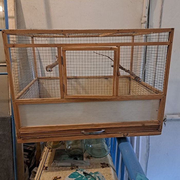 Протдаются Травинистые Глянцевые Попугаи!!