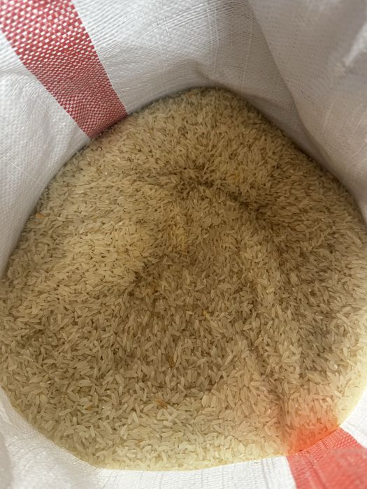 Күріш Лазер Жетысай