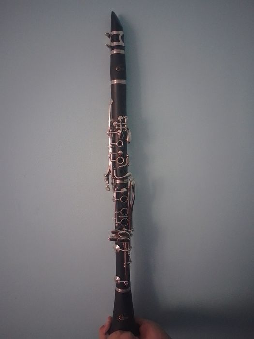 Clarinet odyssey