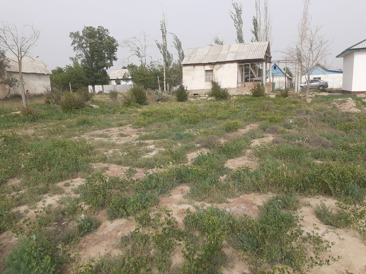 Nishon tumanida Dacha
