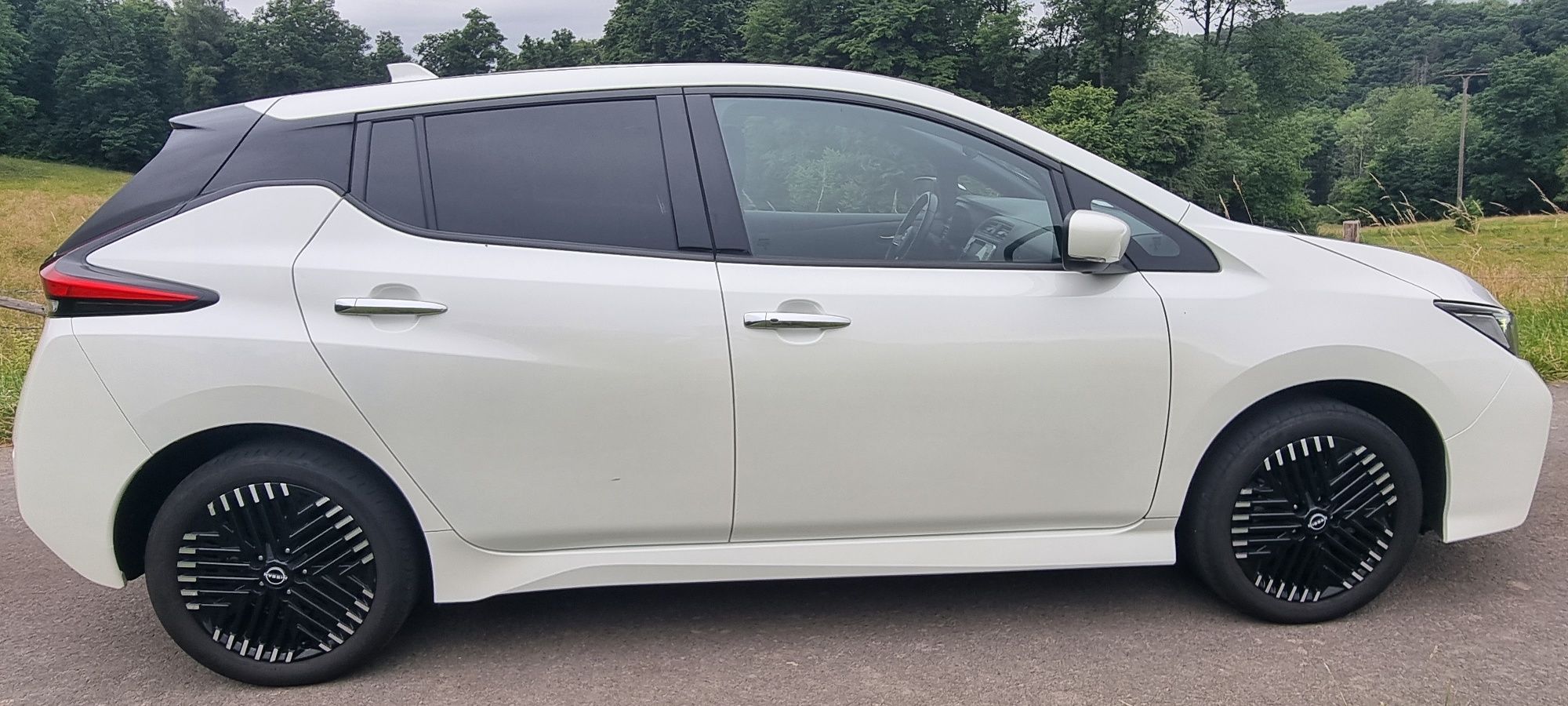 Nissan Leaf Elektro 62kw Kamera 360g