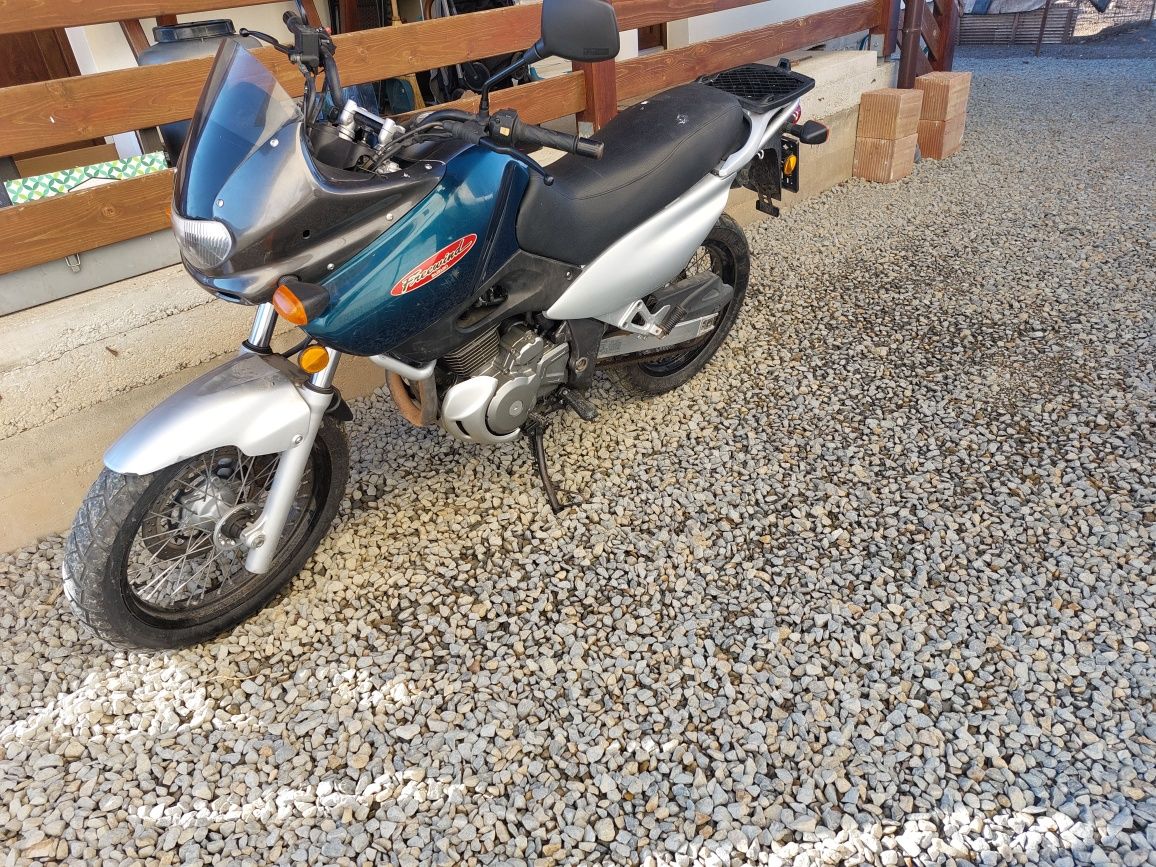 Suzuki freewind 650xf