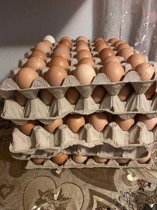 Oua de găină proaspete de consum