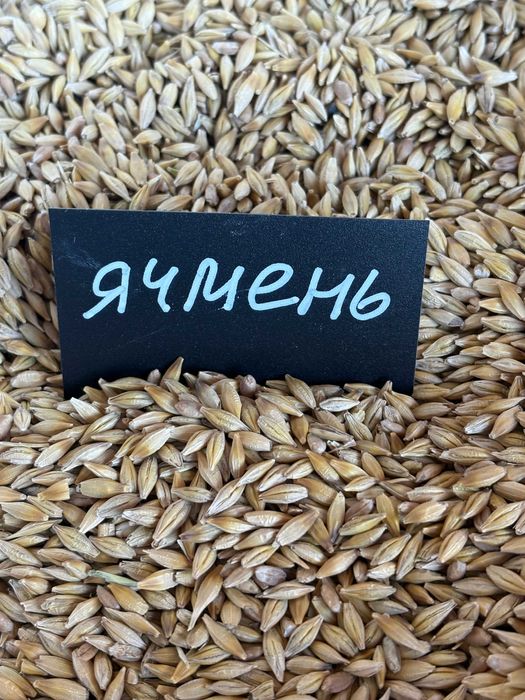 Ячмень, пшеница, овес, комбикорма. гранулы, отруби, жмых