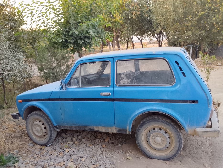 Niva 30 million soʻm