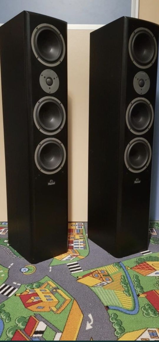 Boxe audio turn - coloane de podea Magnat Vector 77