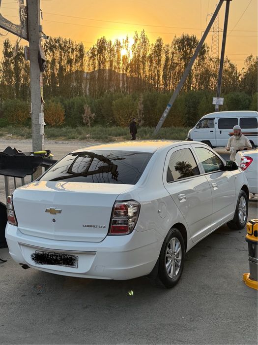 Cobilt 2020 metan gaz 4 pakalenya