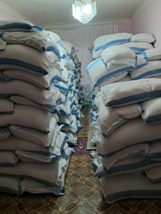 Lazer guruch sotamiz