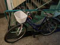 Bicicleta adulti