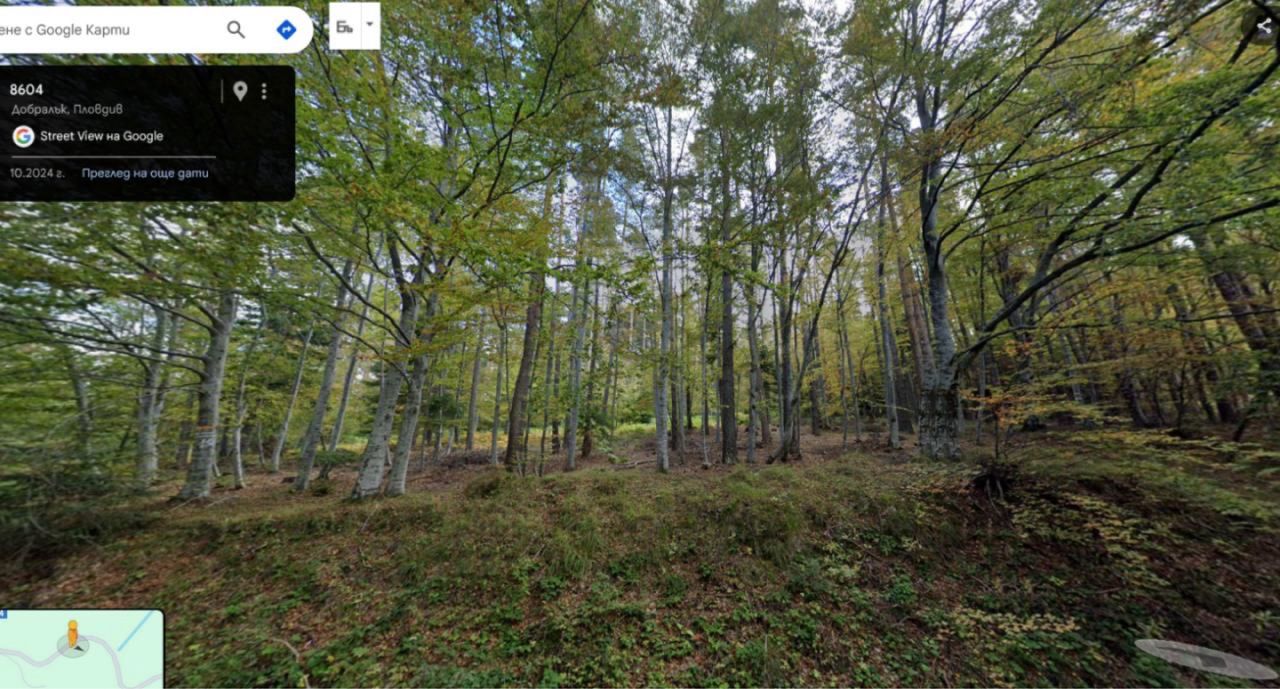 Продава се Парцел в с. Добралък, Област Пловдив - 1000 кв.м за 9 €/кв.м - Снимка #1