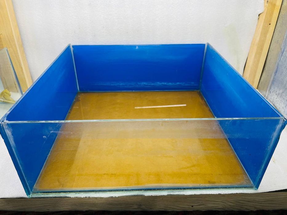 5 та Аквариум хаммаси биттада