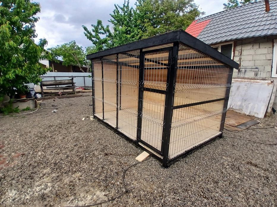 Vand tarc posoc caine