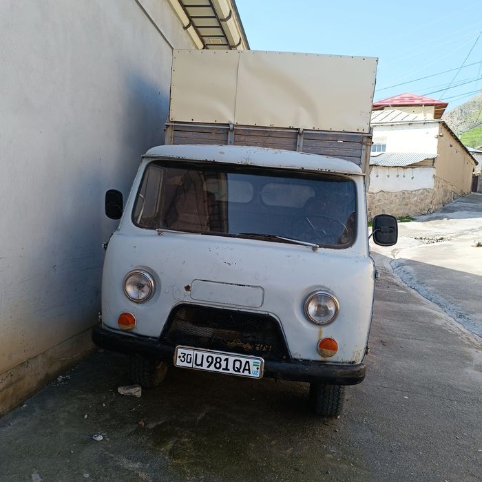 Mosh uvazik  262