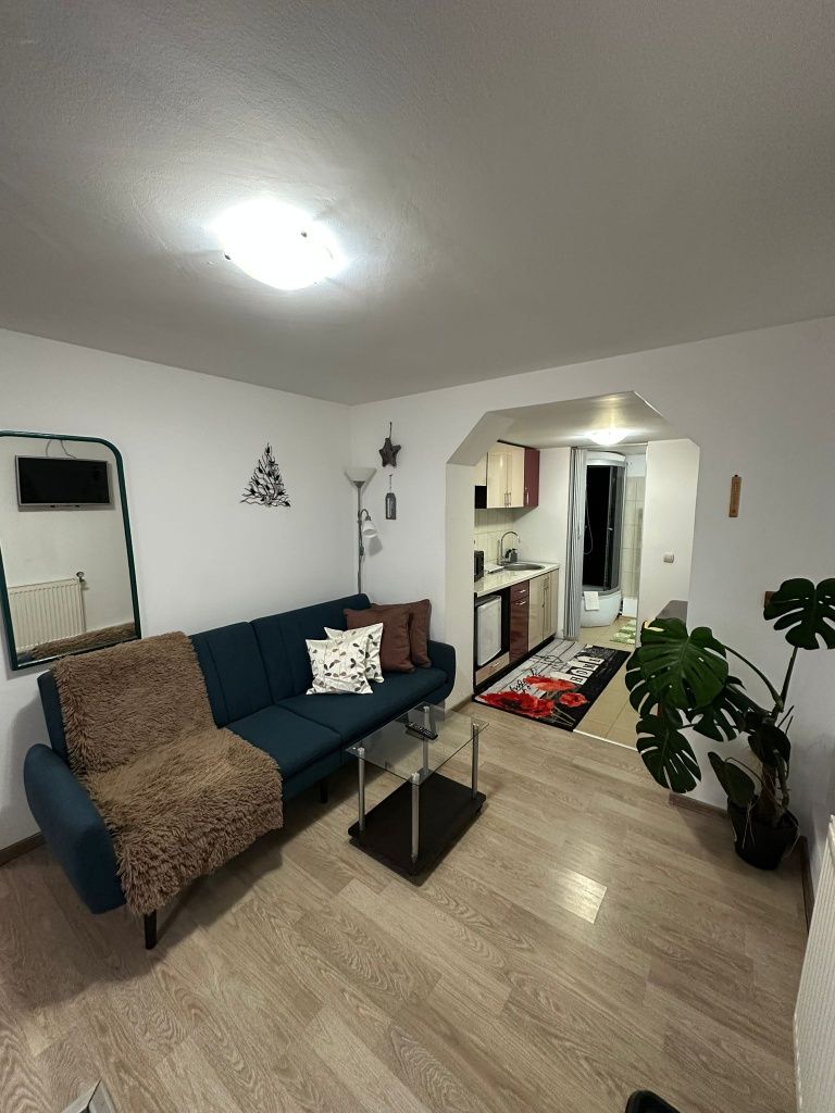 Cazare in Regim Hotelier