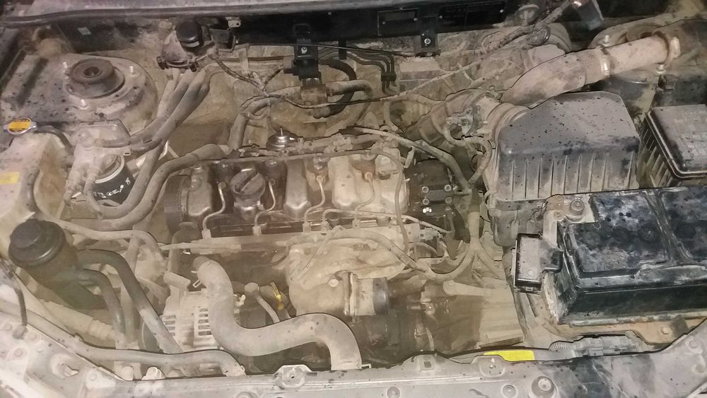 chiulasa Hyundai-Kia