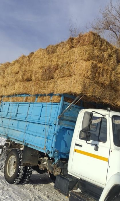 Продам тюк, сено