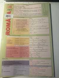 Booklet romana, clasa a 8-a