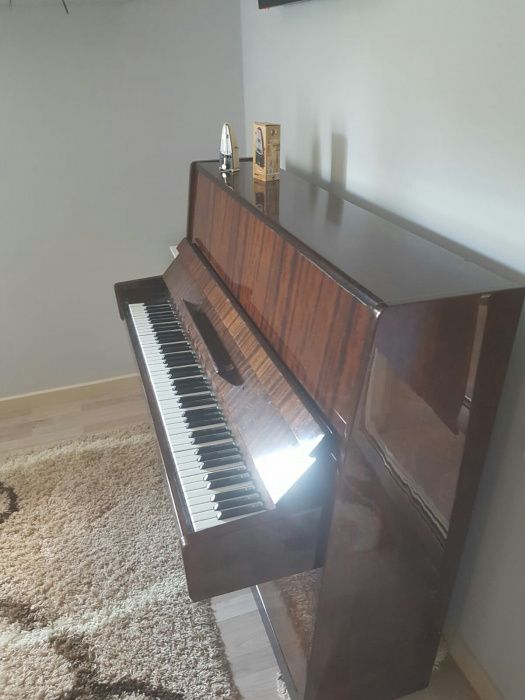 Pianina Nocturno
