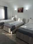Pensiune,regim hotelier,Casa Darius