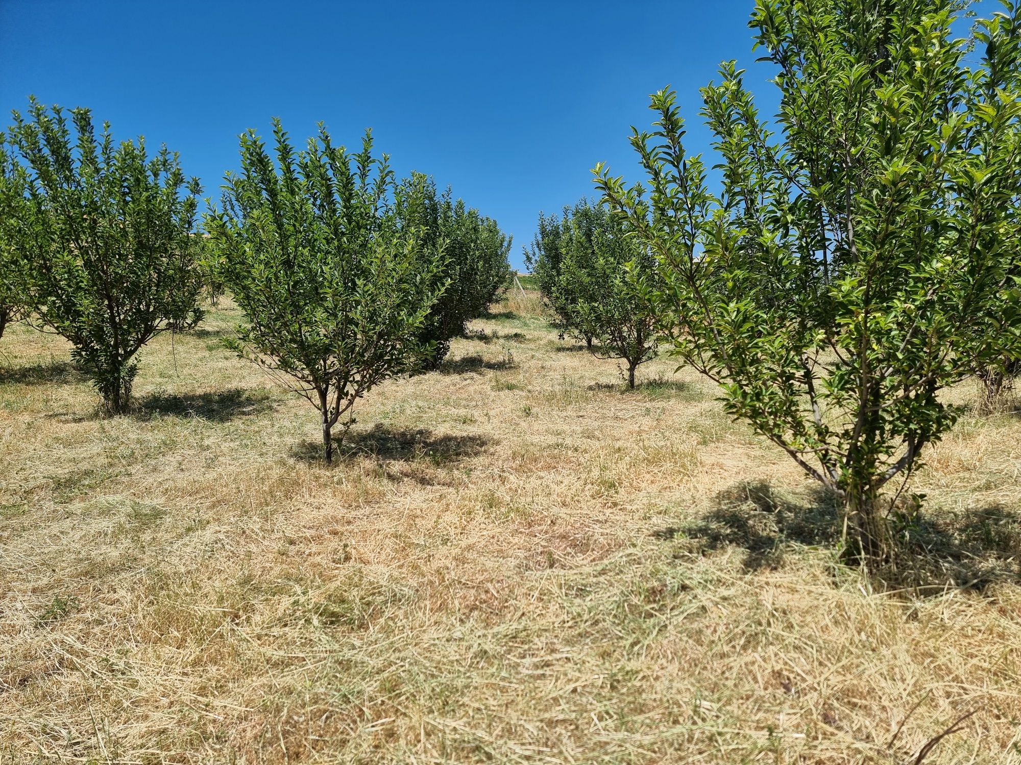 Продам участок 6 соток