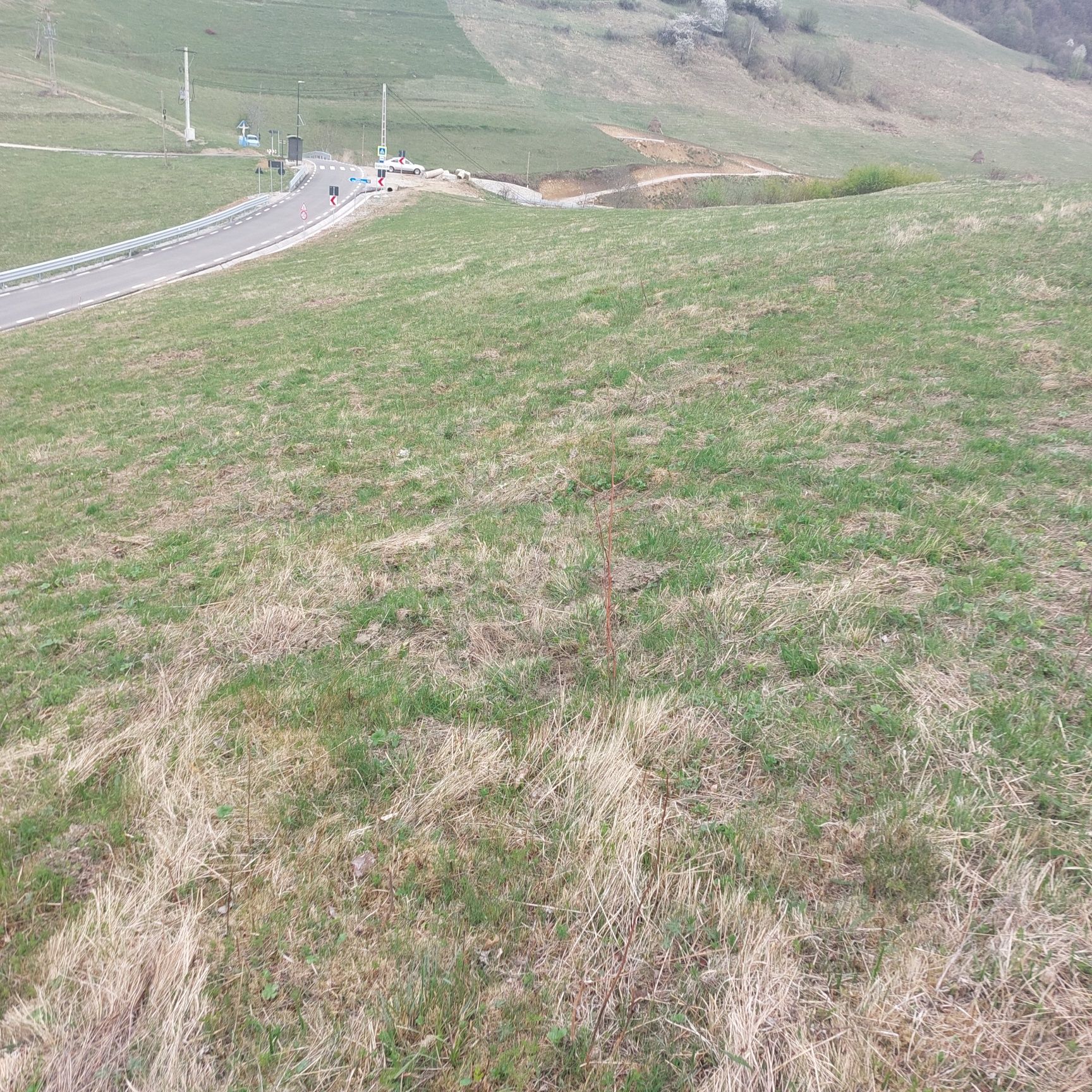Teren de vânzare pe Transalpina de Apuseni in comuna Ramet