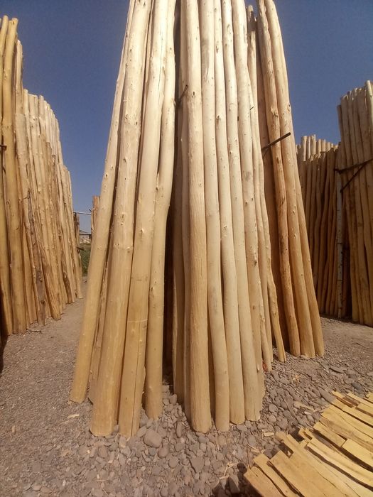 Арзон тераклар бор