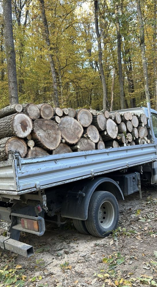 Vindem lemne pentru foc de ce mai bună calitate[FAG,GORUN,CARPEN,CER]