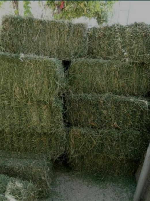 Беда прес Сотилади Beda sotiladi