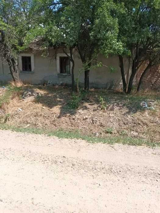 Plenita - Casa demolabila cu 1600m2 curte + 5500m2 teren arabil