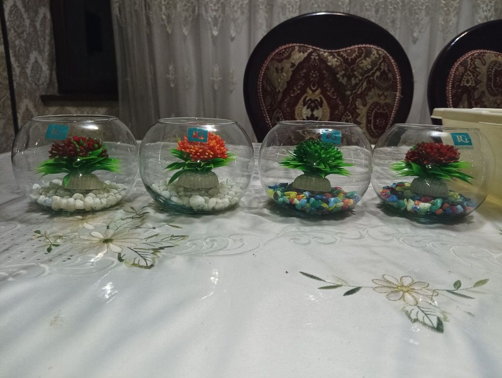 Петушок балик мини аквариум комплект