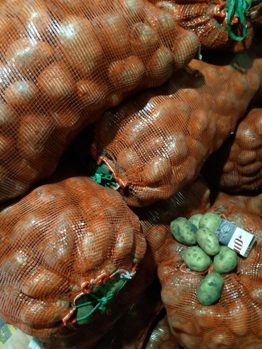 Продам свежий урожай картофеля чистый для длительного хранения.