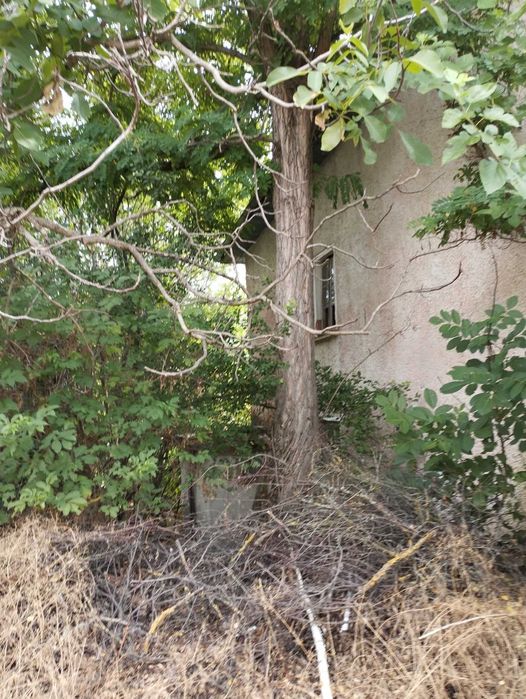 Къща в с. Николаево, обл. Плевен за ремонт.