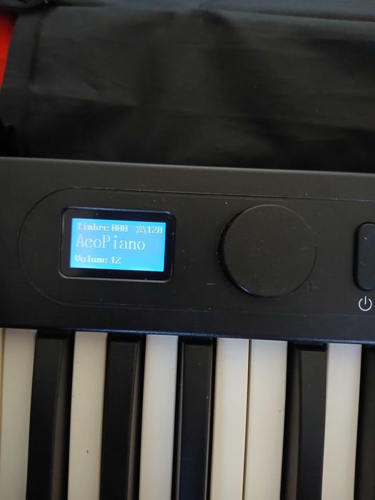 Pian digital Staurtone