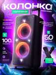 Портативная колонка Fenda PA300 100W