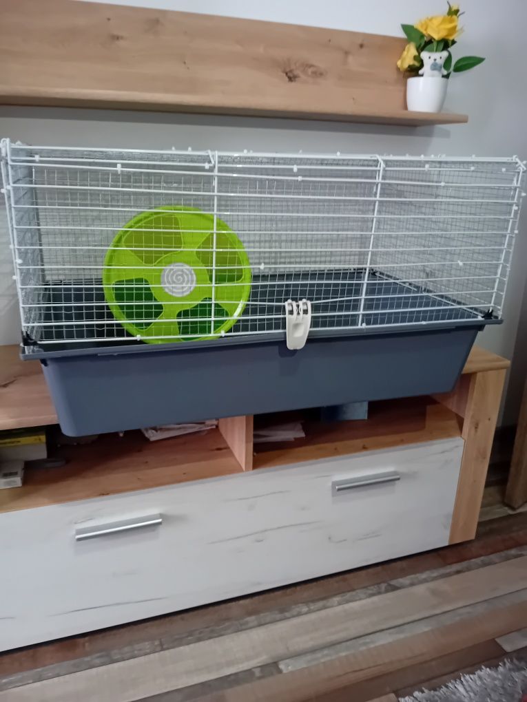 Vand cușcă hamster/iepure si roata hamster