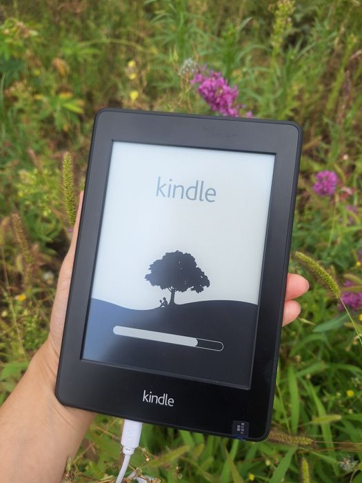 kindle электронная книга
