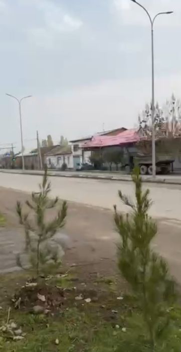 Продаётся янги узбекистан 25 соток углавой орентир опа сингл балик