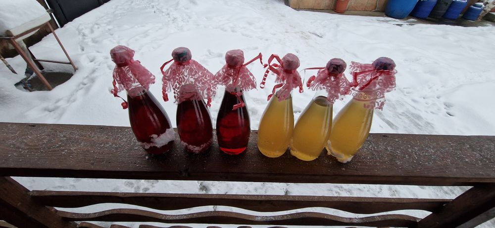 Sirop de brad cu molid si sirop de soc