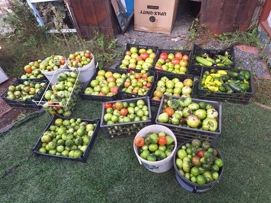 Продам дачу в Сортировке, общество Ромашка