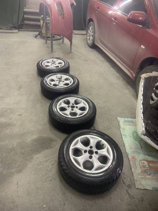 Диски с зимней ризиной