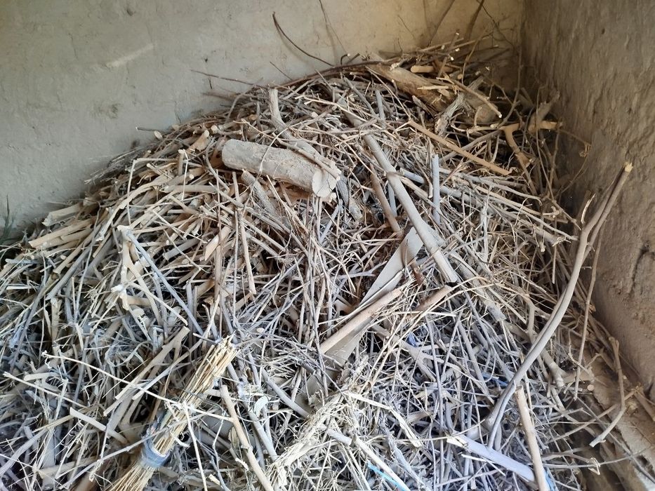 O'tin sotiladi, tayyor maydalangan