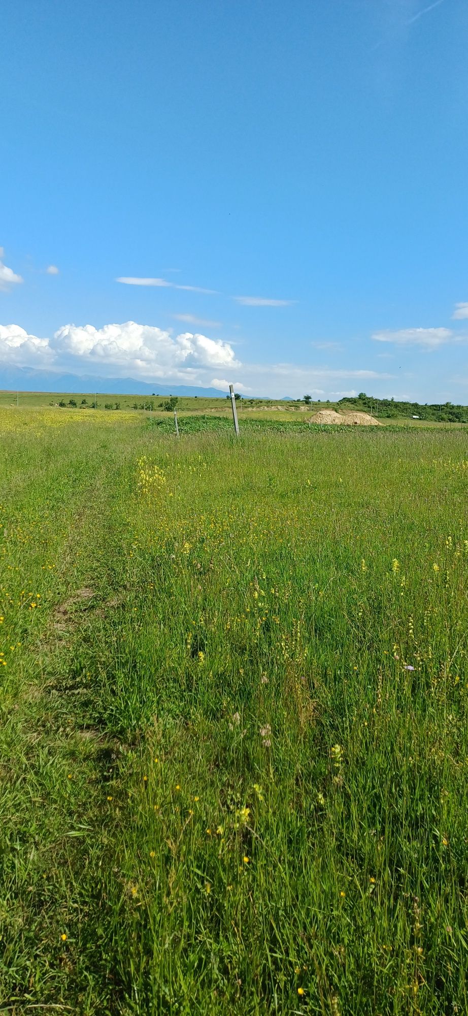Teren intravilan 500mp Sibiu/Șelimbăr