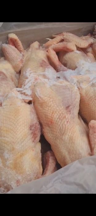Курины тушка свежие с документами каробка 10 000 тг
