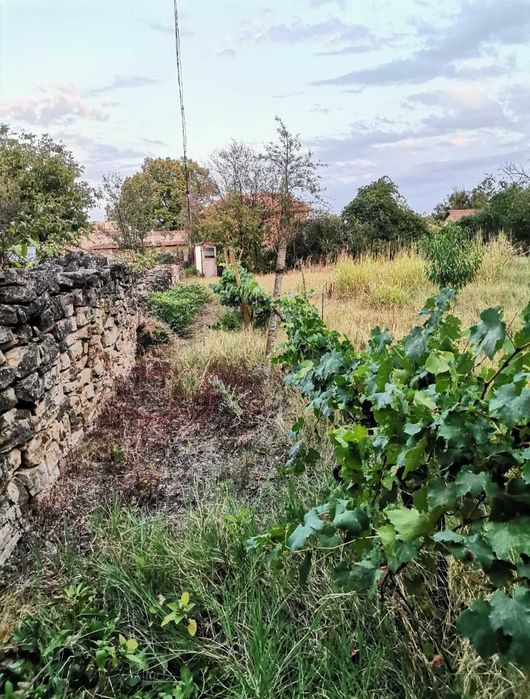 Къща в село Куцина