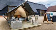 Cort safari XS , glamping , camping