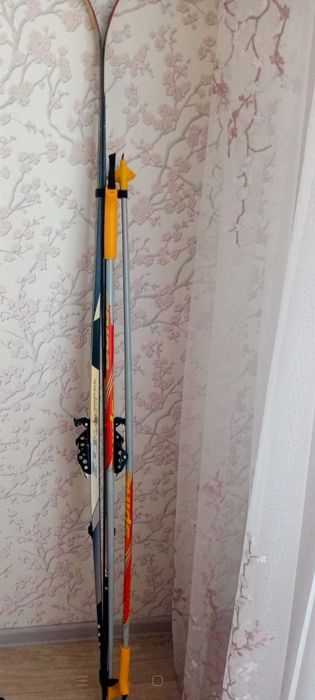 Лыжи и лыжные палки